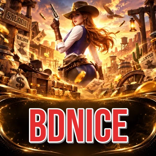 Allow install from unknown sources for the bdnice APK